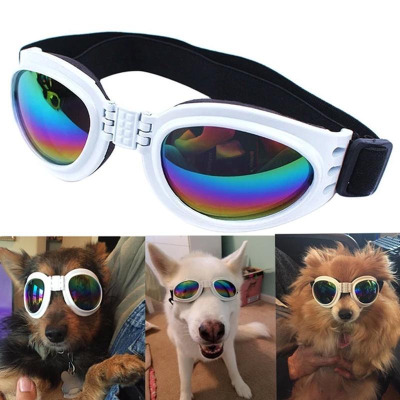 Neue modische Hundesonnenbrille