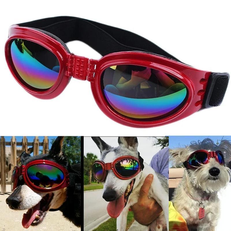Neue modische Hundesonnenbrille