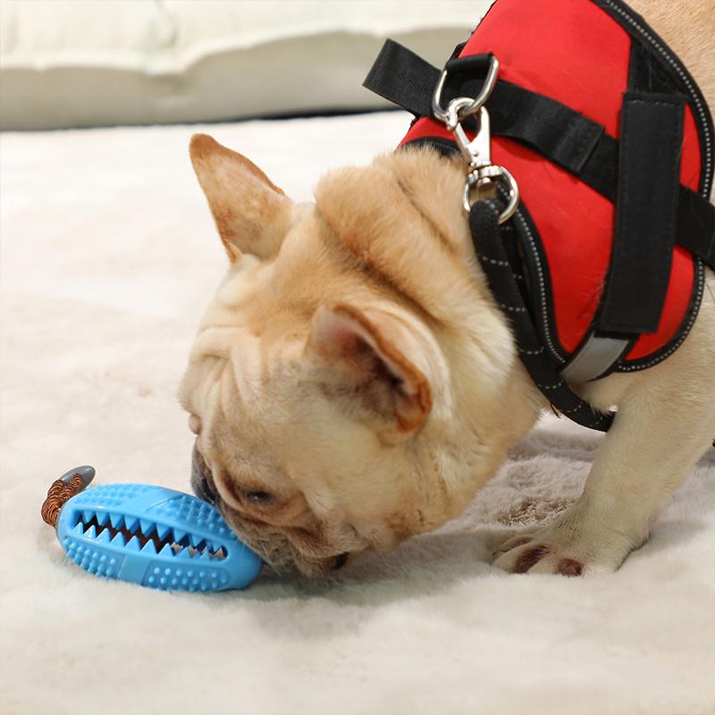 Pre-Sale>>DOG TOOTHBRUSH TOY